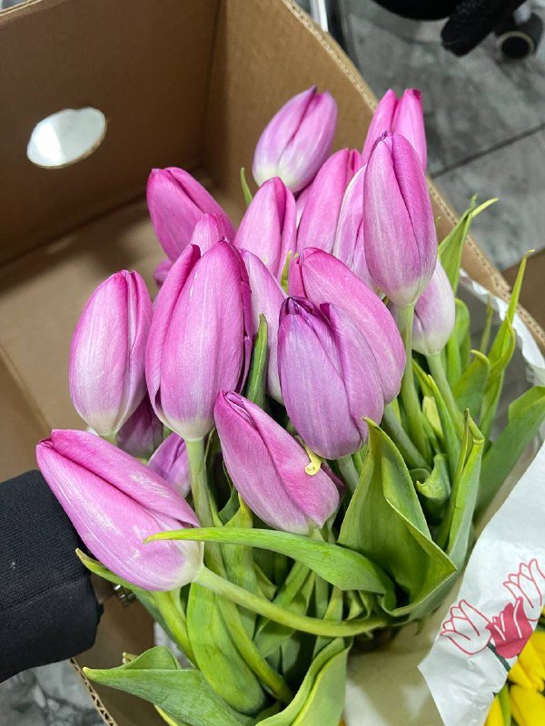 Хризантема одноголовая, кустовая, тюльпаны, эустома, букеты 3