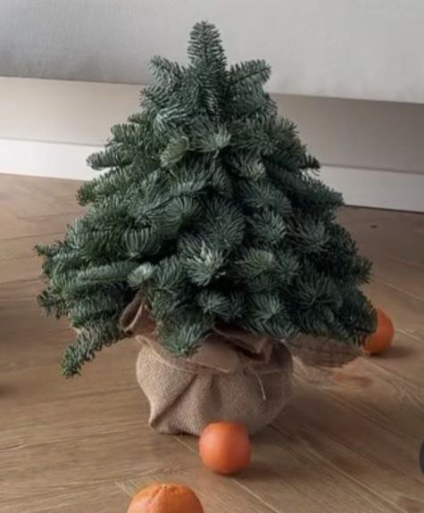 Новогодние рождественские композиции из веток 5