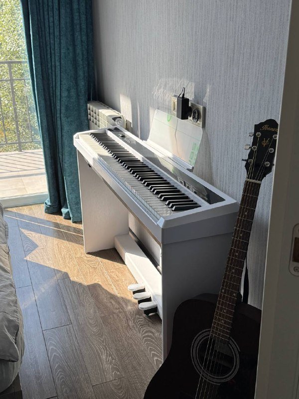 Электронное пианино Orla PF-100