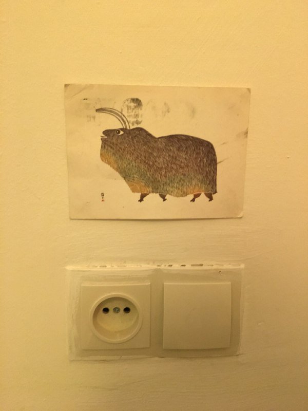 Коллекционные открытки 7