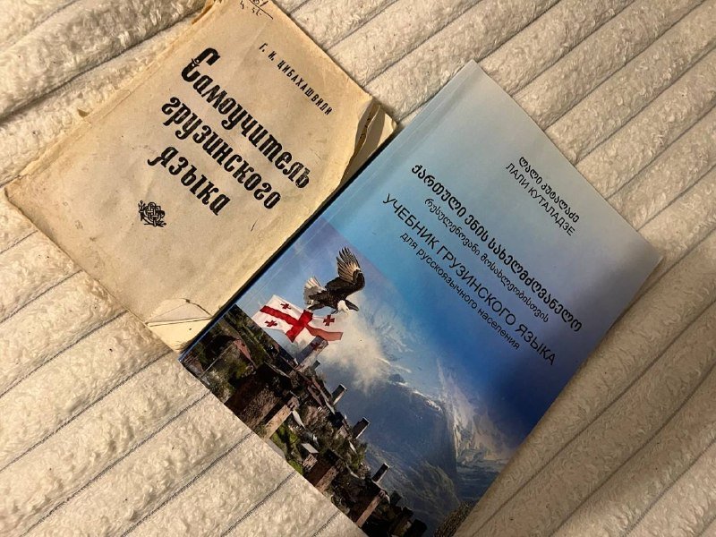 Детские книги, самоучители по грузинскому языку 4