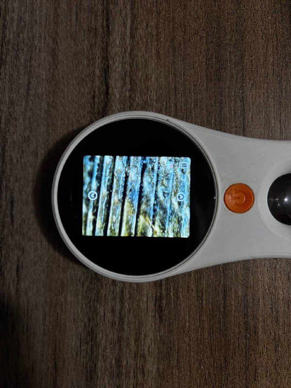 Цифровой микроскоп x500 3