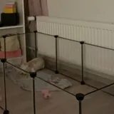 Клетка для грызунов, сено, древесный наполнитель 1