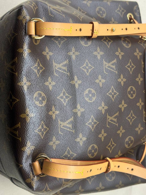 Рюкзак Louis Vuitton 10