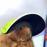 Nike кепка 4