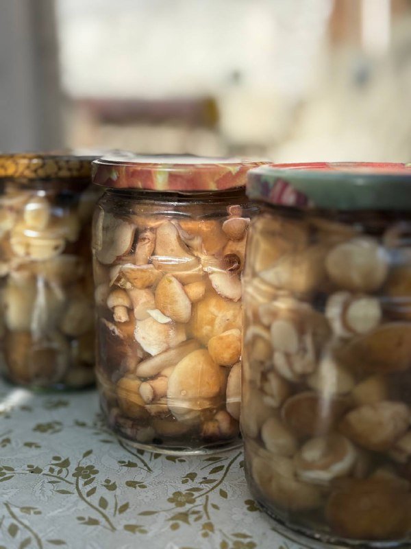 Маринованные грибы грузди, маслята в баночках 0,5 кг 4