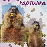Пазл Step Puzzle с сурками, 500 деталей 4
