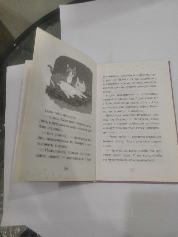 Детская книга Котята в Музее 2