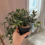 Искусственные кустики растений 1
