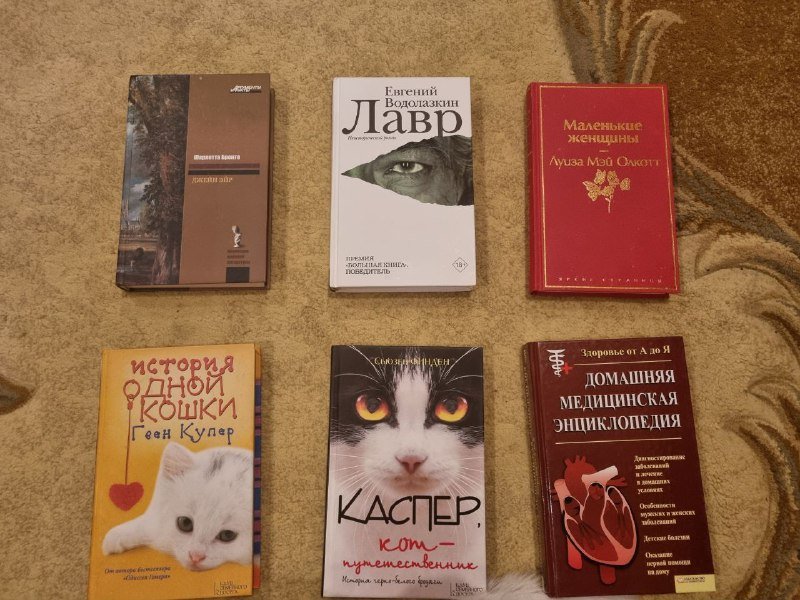 Книги: Джейн Эйр, Лавр, Маленькие женщины и др.