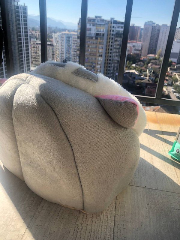 Домик для кота или кошки 3