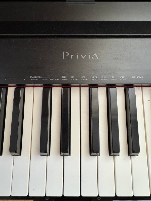 Электронное пианино Casio Privia PX-830 4