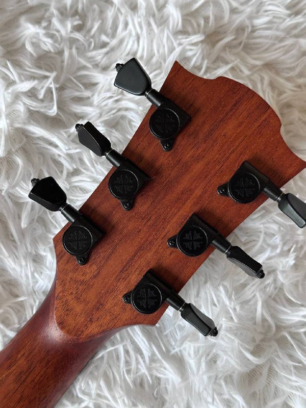 электро-акустическая гитара GLA SAUVAGE ACE с чехлом 4