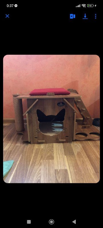 Домик для кошек с тарелками и ковром