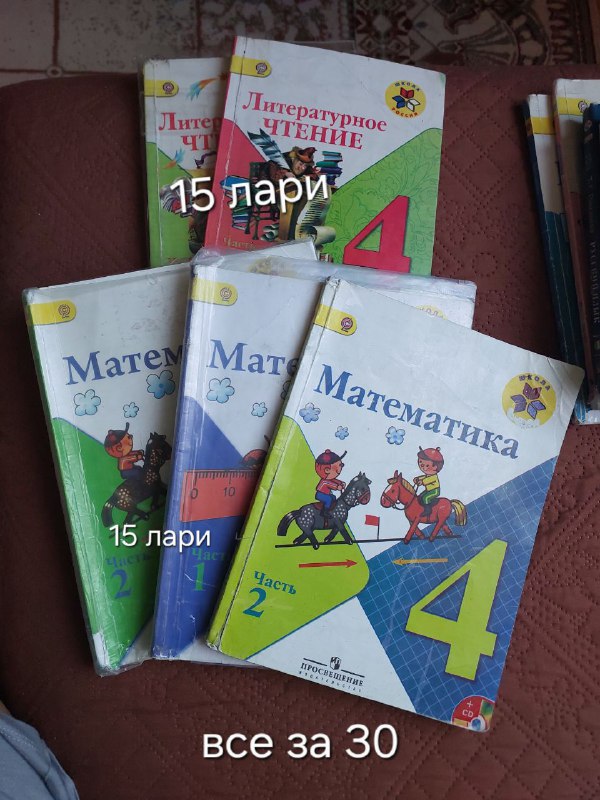 Учебные книги по литературе и математике 2