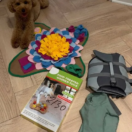 Dog set: mat, vest, coat, toys