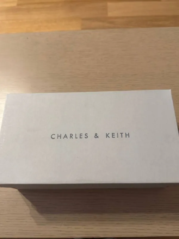 Женские туфли Charles & Keith 1