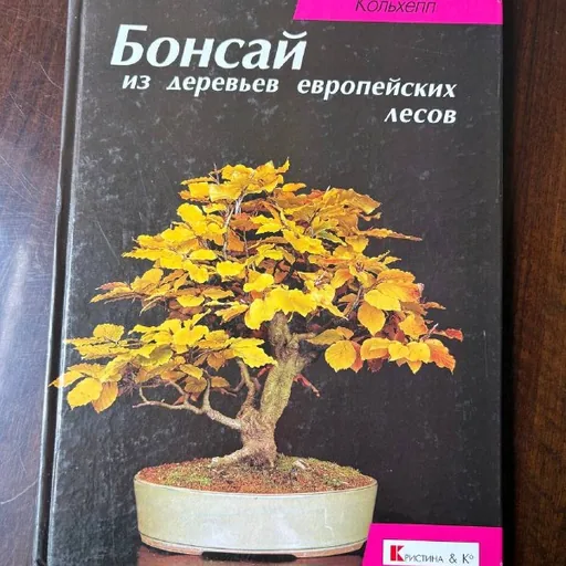 Бонсай из деревьев европейских лесов