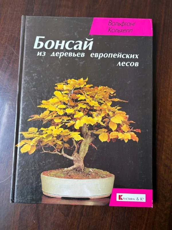 Бонсай из деревьев европейских лесов