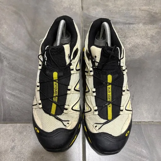Salomon shoes