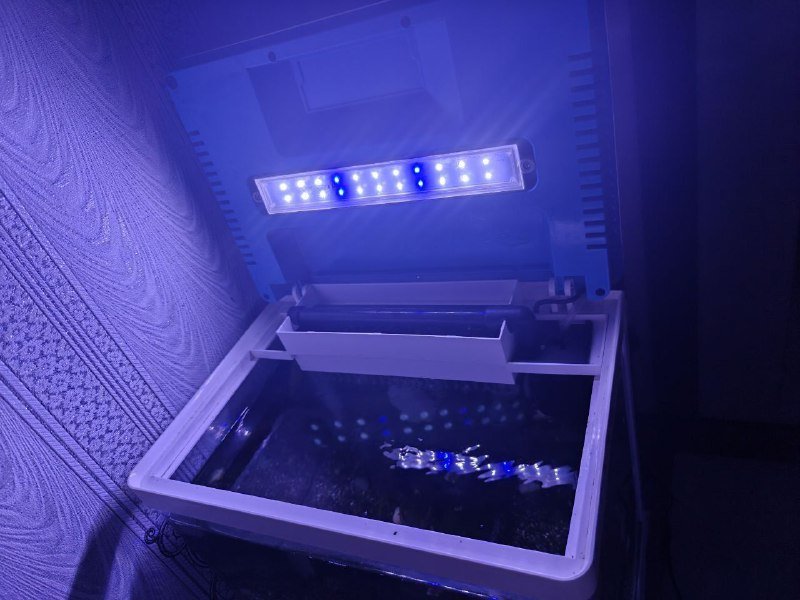 Аквариум с оборудованием, рыбами, кормом и тестами 2