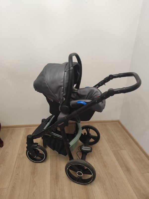 Коляска Adamex Neonex Oasis 2x1 с автолюлькой и аксессуарами
