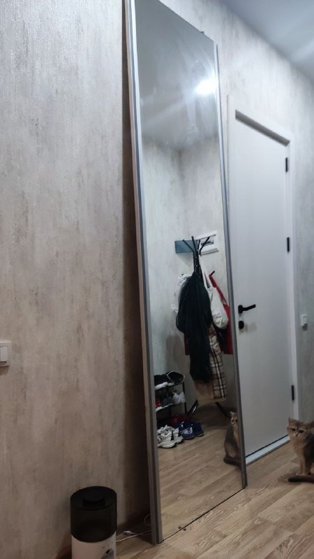 Большое высокое зеркало 250x73 см