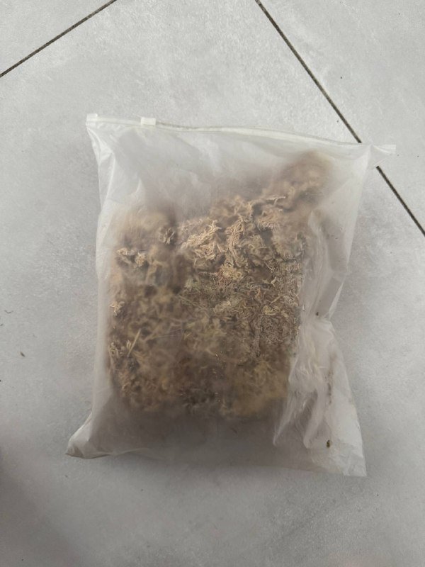 Мох сфагнум в упаковке