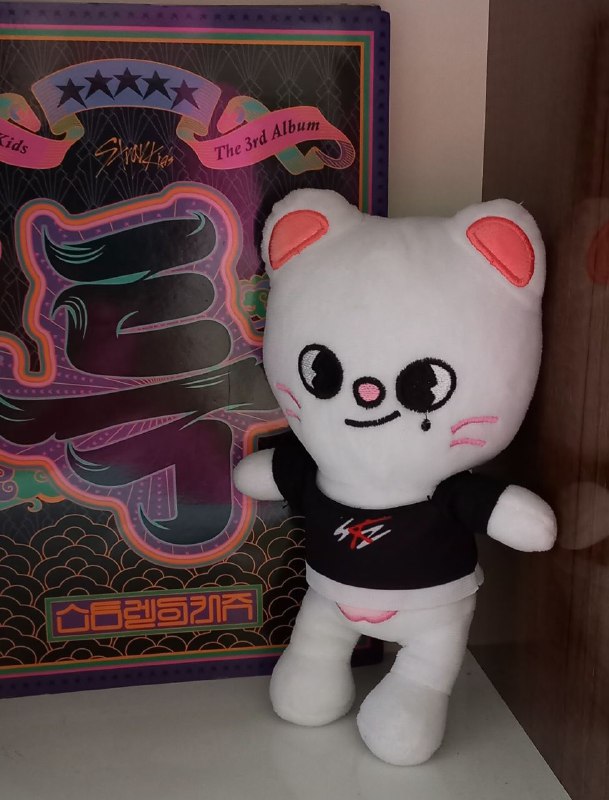 Плюшевые игрушки Stray Kids 3