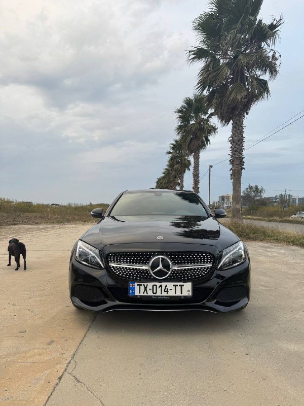 2018 MERCEDES-BENZ C 300 2