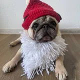 Головные уборы для собак и котиков 2