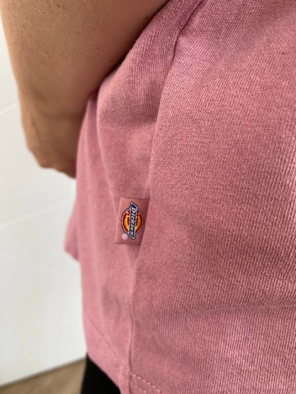 Футболка Dickies XS, Панама Anteater 4