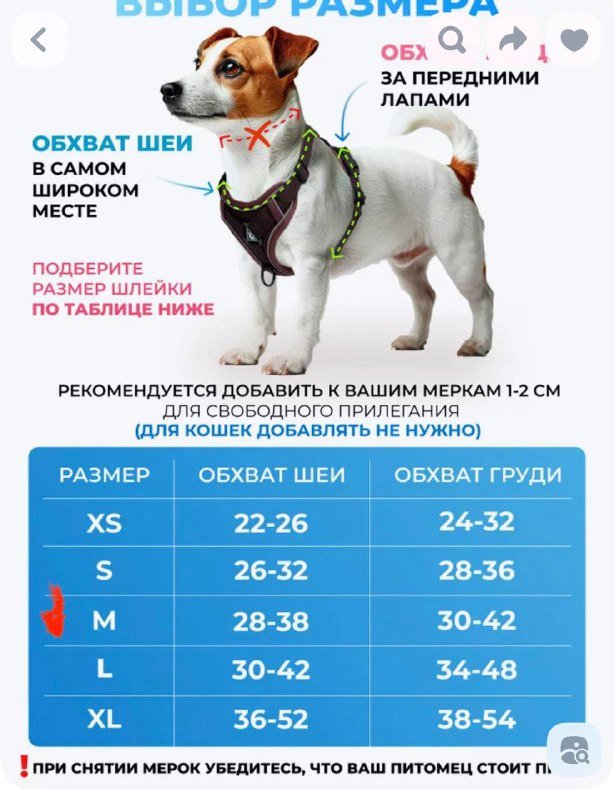Шлейка для собак и кошек с поводком 2м, размер М 4