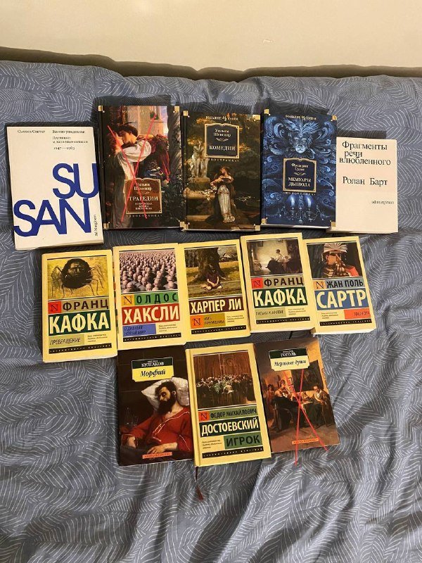 Книги Сьюзен Сонтаг, Шекспир, Сулье, Кафка, Хаксли, Ли, Сартр, Булгаков, Достоевский