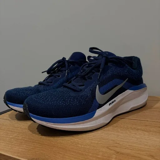 Мужские кроссовки Nike Winflo 11