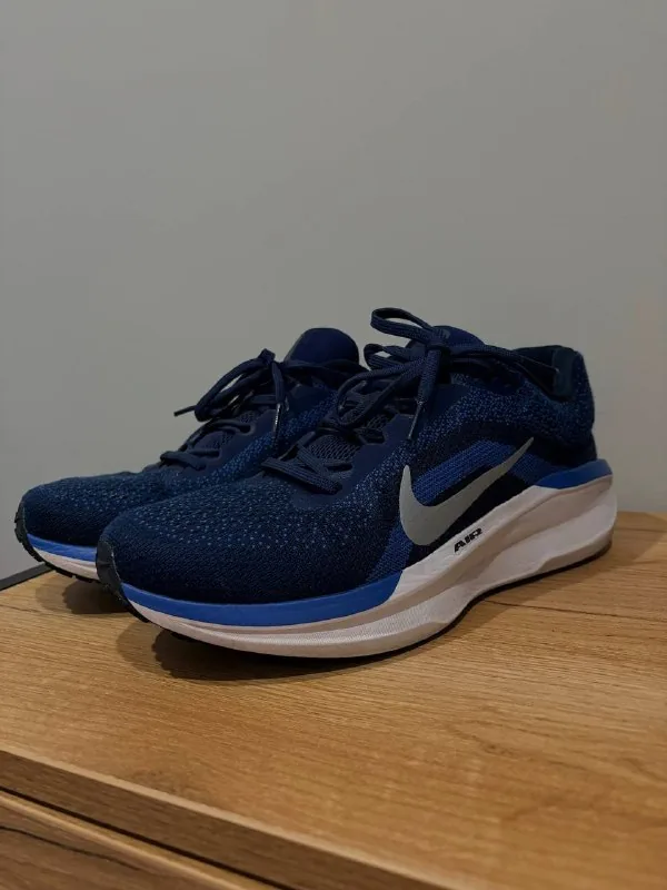 Мужские кроссовки Nike Winflo 11