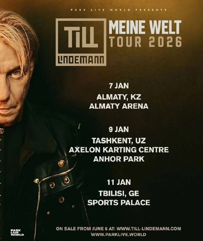 Два билета в фан зону на концерт Линдемана 11 января