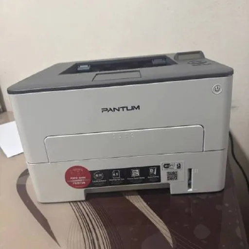 Принтер Pantum P3010DW