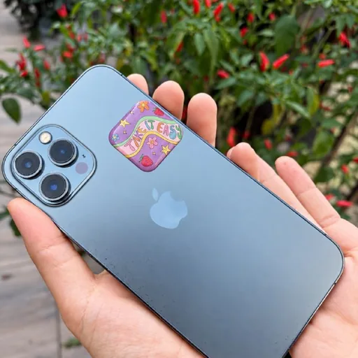 iPhone 12 Pro Max, 256 GB