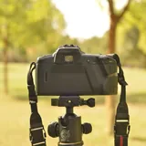 Canon Prima Super 105 X, Samsung NX210, Minolta 7xi 6
