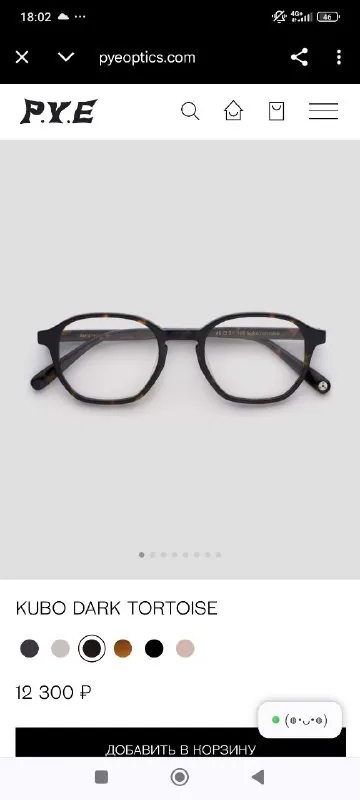 Очки P.Y.E. Kubo, Ray-Ban 6375 1