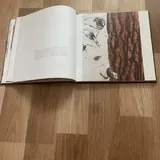 Магия кадра 3