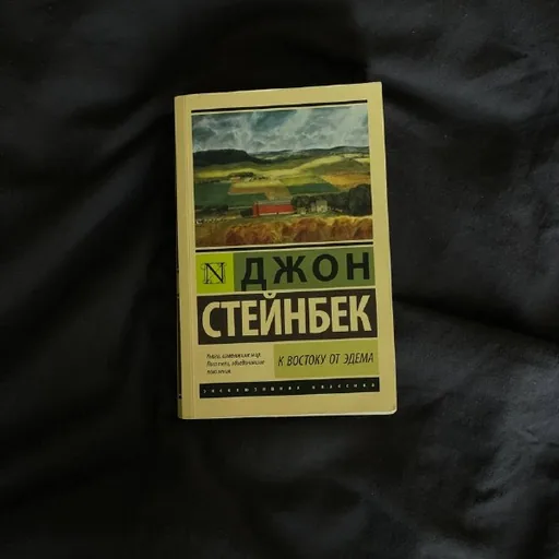 Used books: Steinbeck, King, Maugham