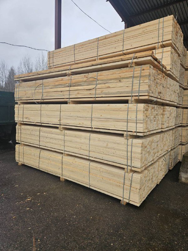 сосна, ель камерной сушки