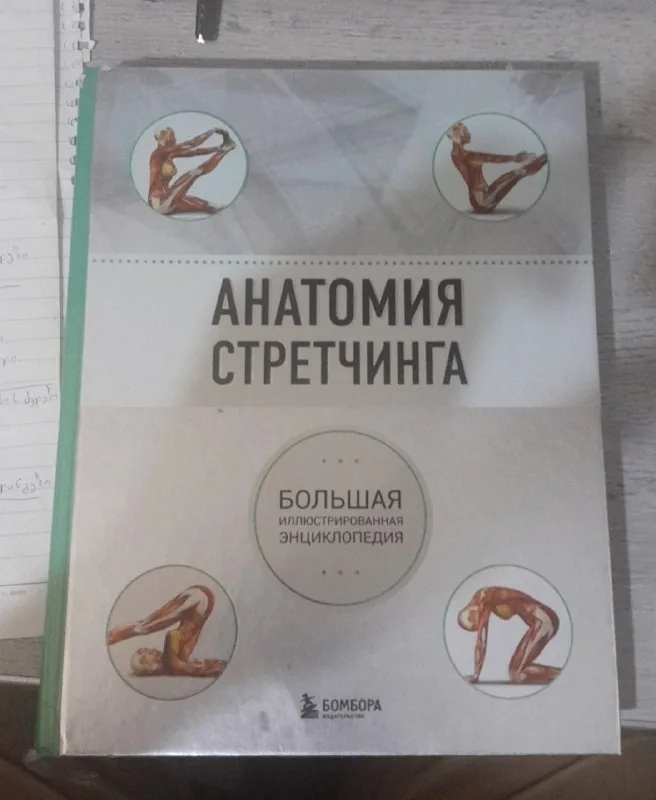 Анатомия растяжек