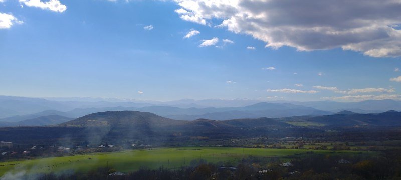 Ежедневные поездки за грибами мини группа Тбилиси 2