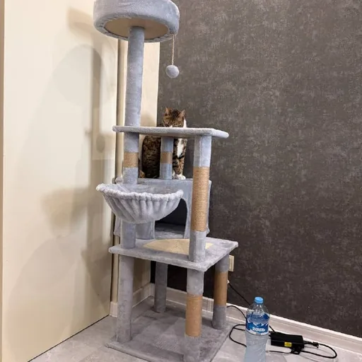 Домик для кота