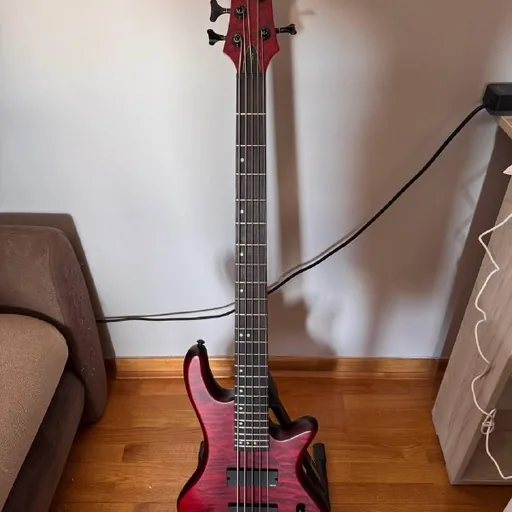 бас-гитара Schecter Stiletto-5 Custom