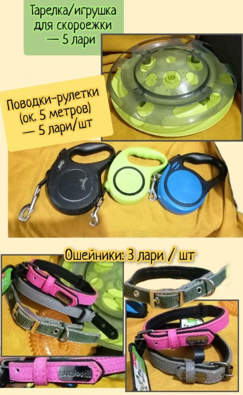 Конусы и миска для питомцев, шлейки, поводки, ошейники, лежанка 4