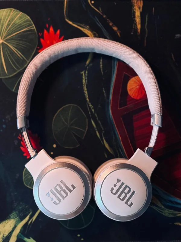 JBL Live 670NC наушники 1